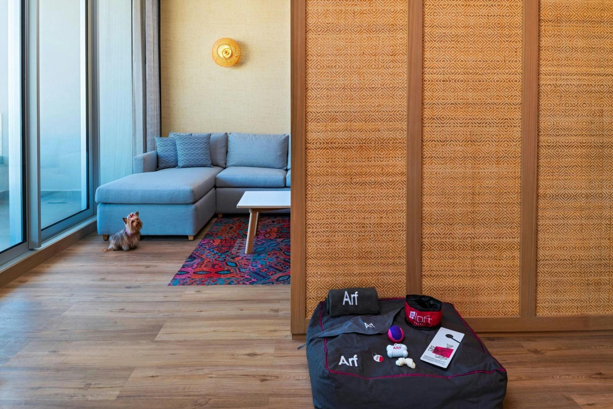 Aloft Playa Del Carmen Hotel Bagian luar foto A room divider